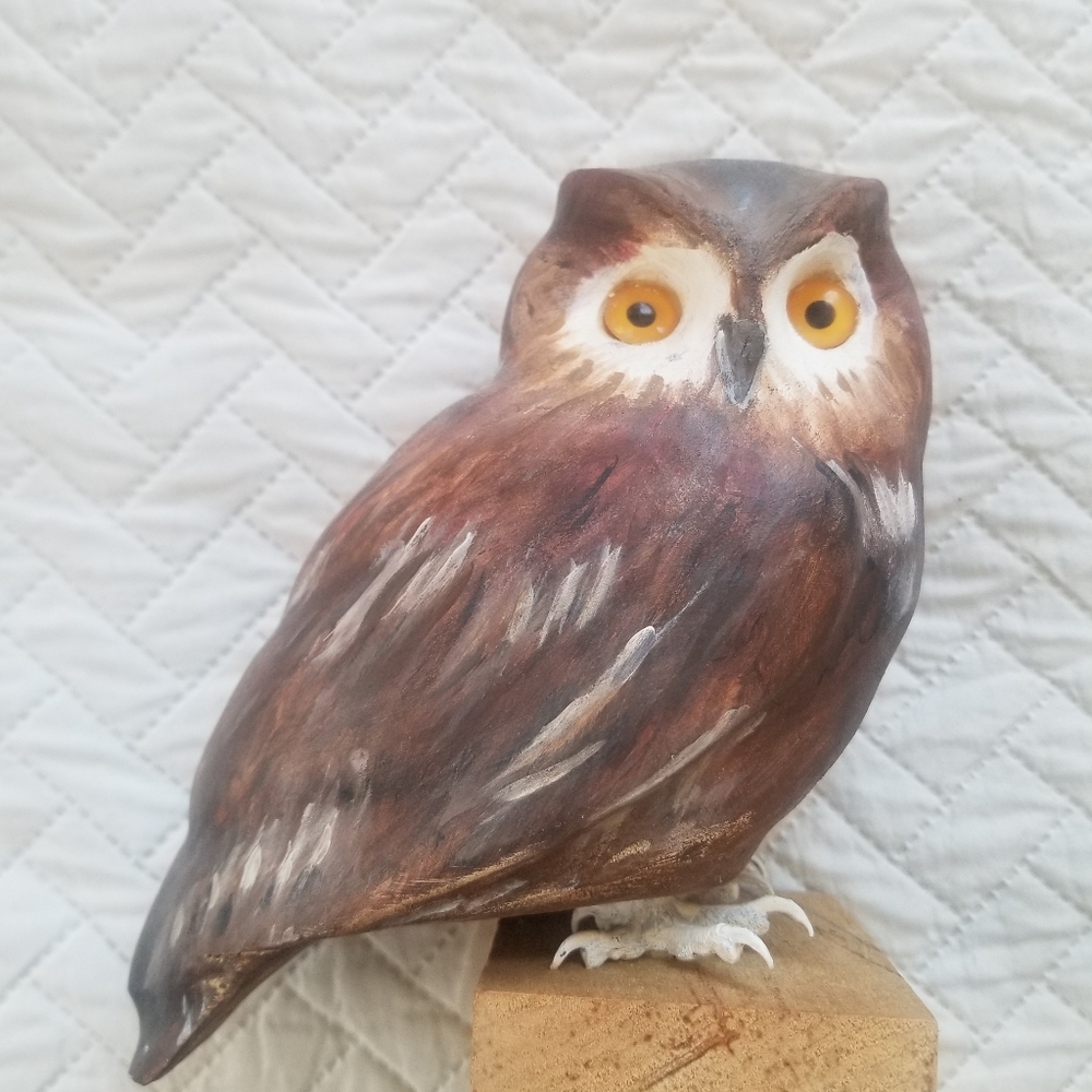 Hand painted screech owl (by me)